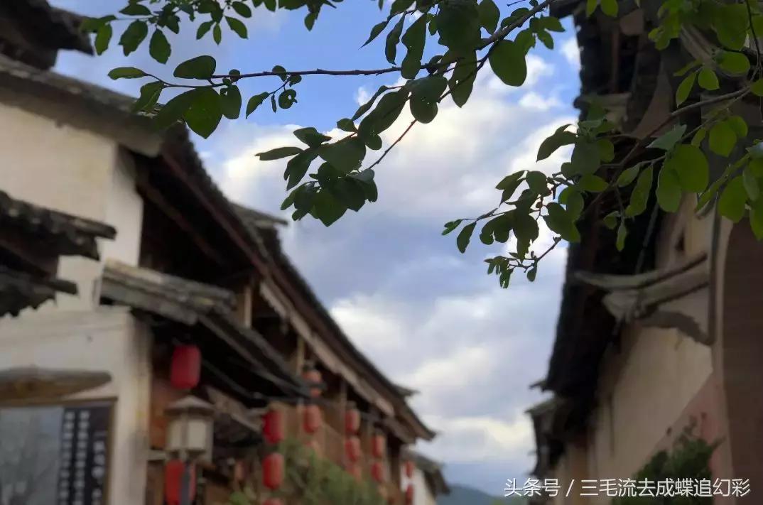 大理5月有什么玩的吃的,五月中旬大理适合旅游吗