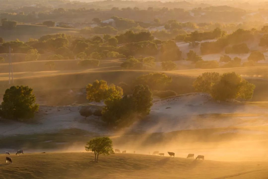 绱㈠凹鍗曞弽鐩告満鍏ラ棬鏁欑▼,绱㈠凹榛戝崱7鐩告満鍏ラ棬鏁欑▼