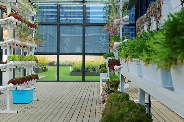 “校长在线”来了，快为闻涛中学男神校长打call~