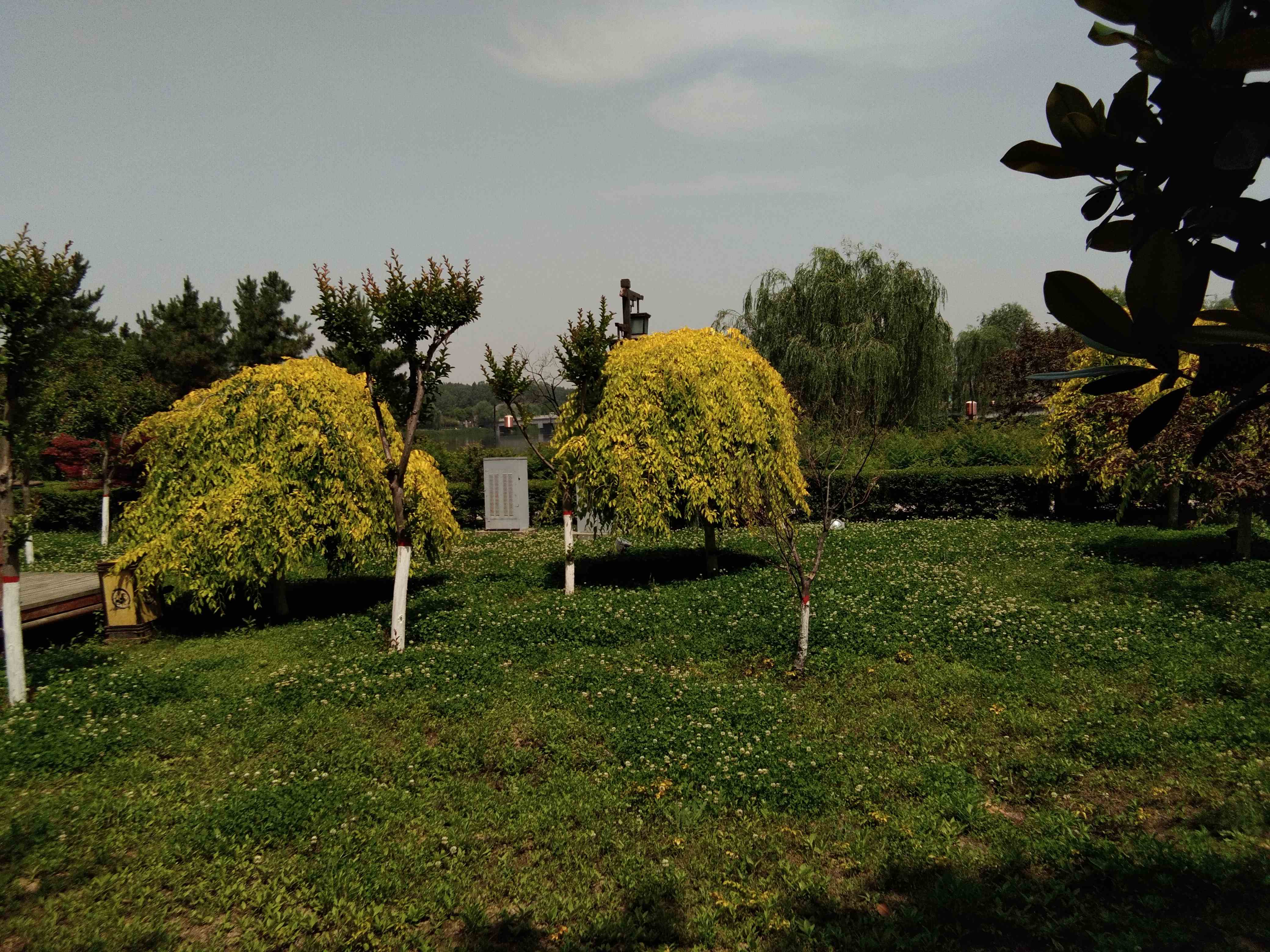 脚踏汉城湖公园全程!感受汉武辉煌!