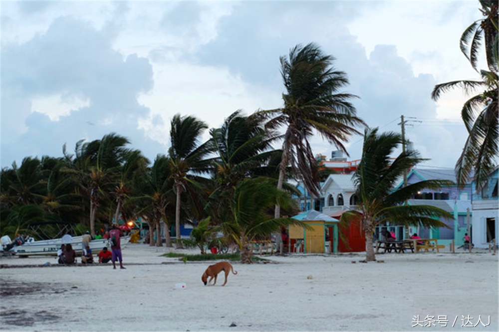 伯利兹大蓝洞好看吗,伯利兹大蓝洞有多深