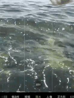 卷毛佟的吸粉秘籍：每天只刷2小时抖音，如何获得200w粉丝？