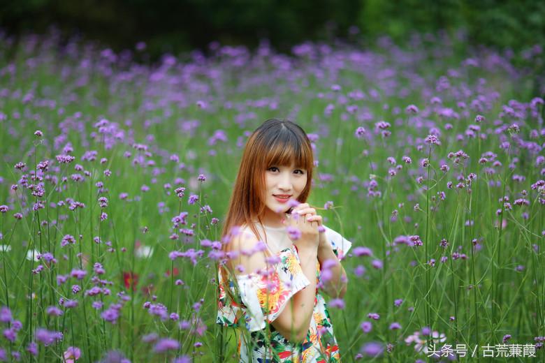 回眸前尘风景秀，此去经年恍如梦