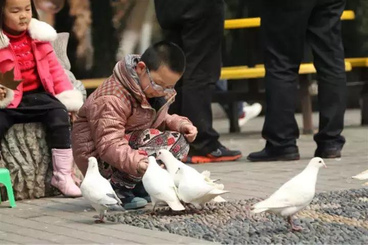芜湖最美的10个地方,芜湖最美的景点