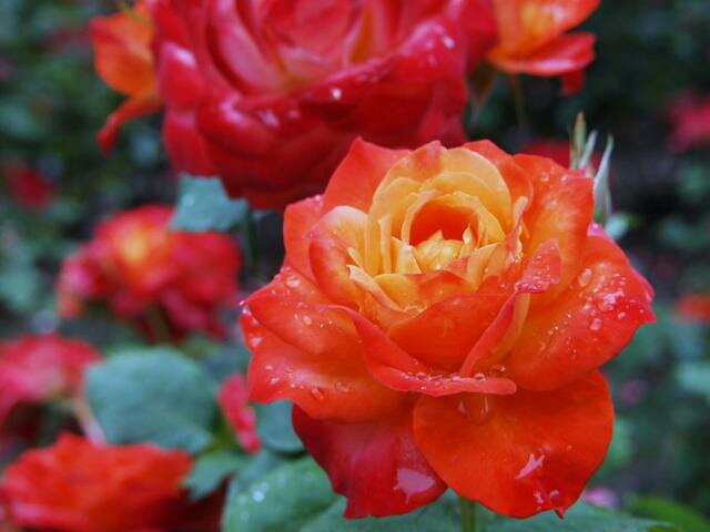 没人帮一切只能靠自己 (一切只能靠自己)