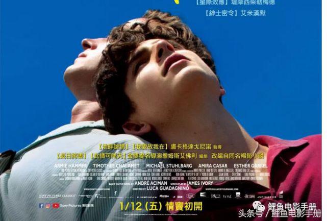 推荐六部高潮迭起的电影 (欧美100部真人纯爱电影推荐)