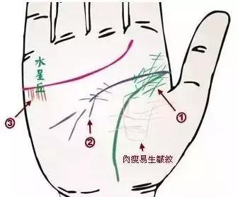 手诊了解一个人的性格和健康,十个最简单的手诊图
