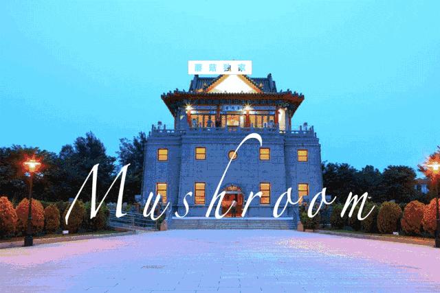 周末游好去处桃花源,哪里有世外桃源适合散心