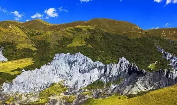 四川青城山景区免票,四川对浙江省免票的旅游景区