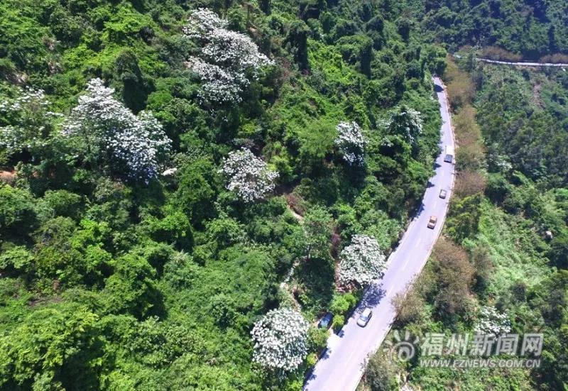 福州2022年5月赏花攻略,福州春季赏花胜地