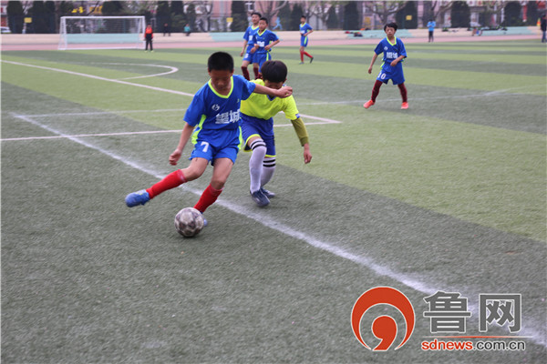 莱西发展势头,莱西足球学院规划图