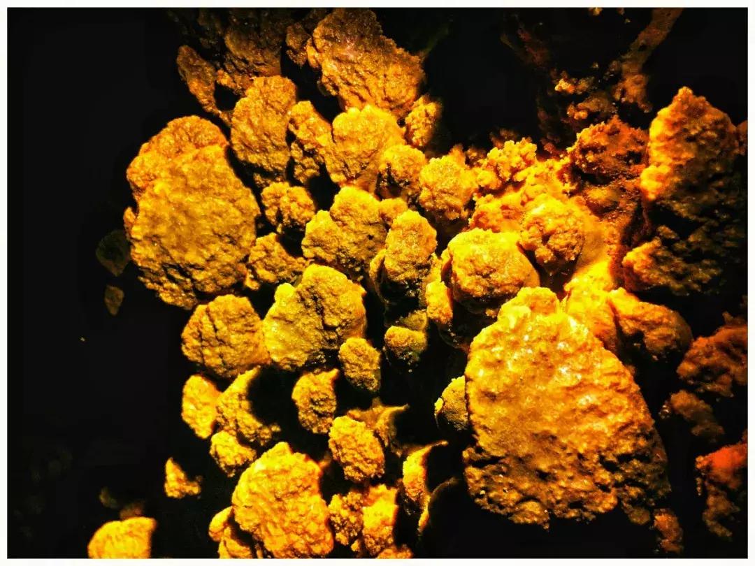 天马镇,天马镇是哪个市的