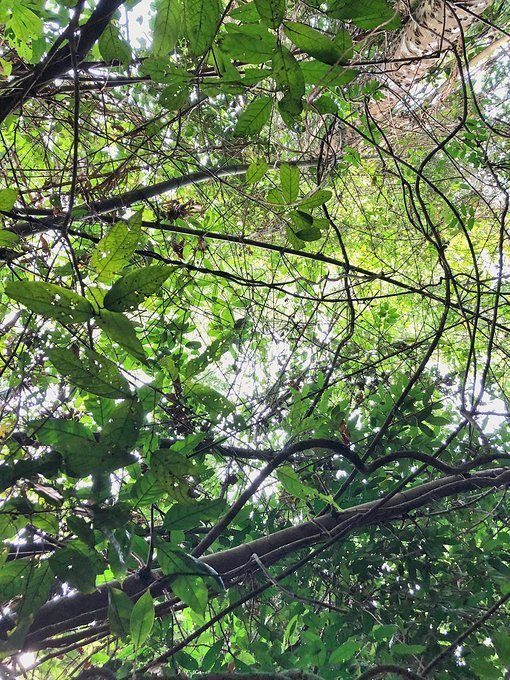 泼水节旅游详细攻略,泼水节应该去曼谷还是芭提雅