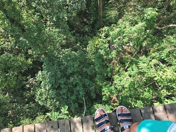 泼水节旅游详细攻略,泼水节应该去曼谷还是芭提雅