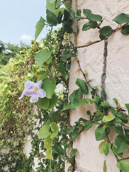 2024泰国泼水节攻略,2022年的泰国芭提雅泼水节