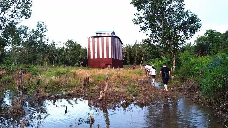 燕窝原料讲解平台,燕窝用什么品种燕窝做