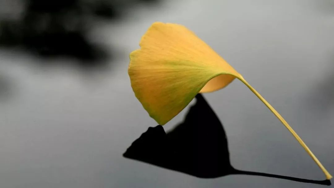 成功了！淮南又有了一张国字号新名片！