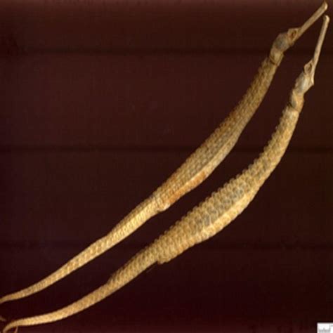 补肾精最佳方法,补肾是补肾阴还是补肾精