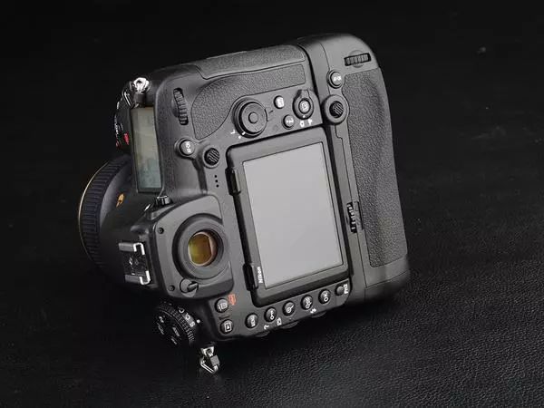 大个头大智慧,大脑门子大智慧