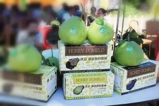 海南共享农庄批几个村庄,海南2019年首批共享农庄