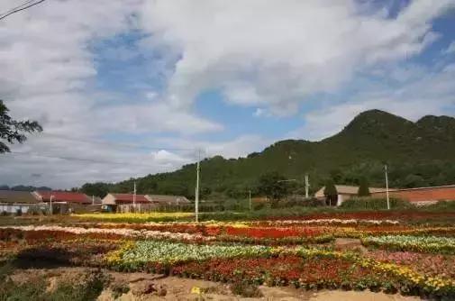 海南共享农庄批几个村庄,海南2019年首批共享农庄