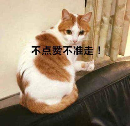 梦幻西游花100万元买超级武器,梦幻西游土豪买买买