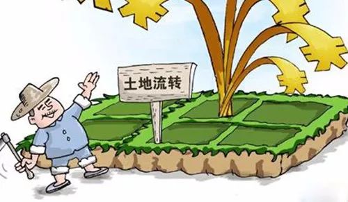 流转土地出租个人风险点有哪些,家里土地被父母私自租出去怎么办