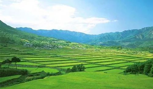 流转土地出租个人风险点有哪些,家里土地被父母私自租出去怎么办