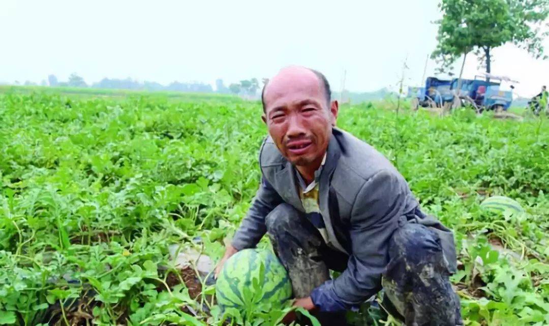 搞农业打工,搞农业的人是真的辛苦
