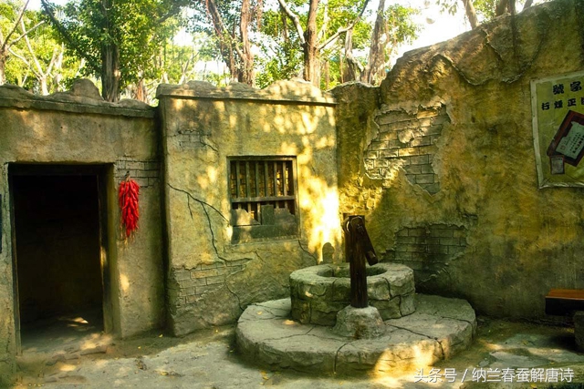 凡有井水处皆能歌柳词的柳指谁,凡有井水处皆能歌柳词的意思