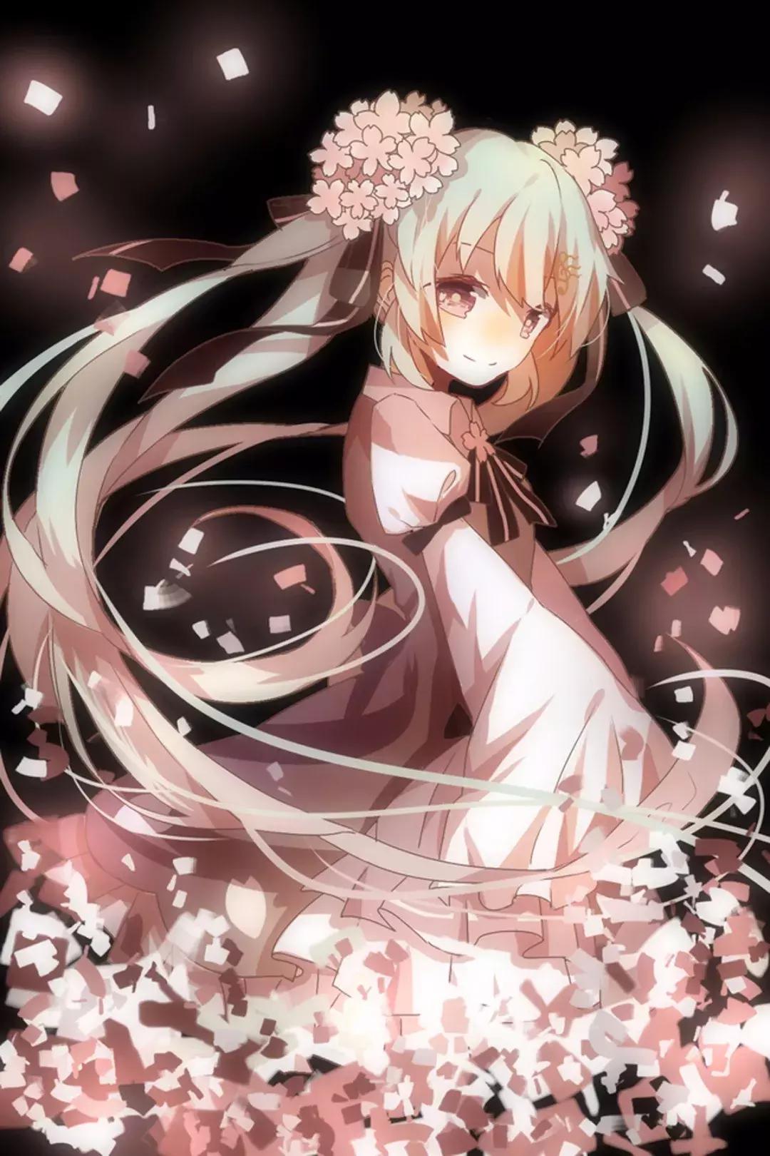 本期壁纸,本期壁纸orange