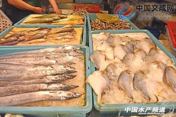 休渔期来了海鲜市场价格会飙涨嘛,今天休渔期海鲜价格