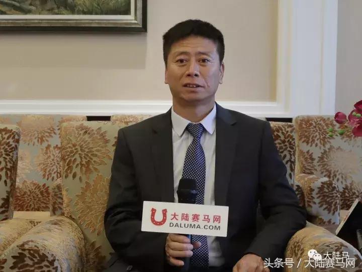 均价超30万，总成交价1300万！半数新马主成玉龙纯血马拍卖会主力