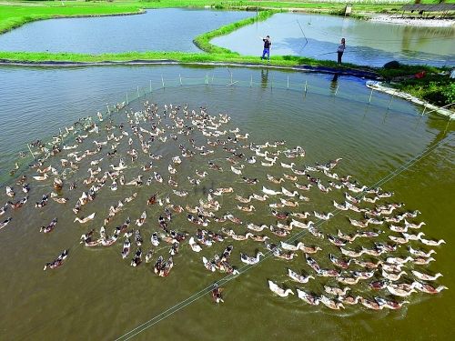桂林全州11月有什么特产,桂林下酒特产必买清单大全