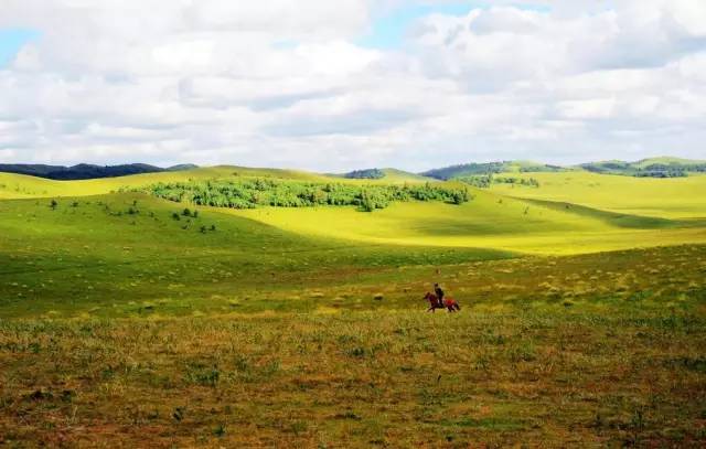 旅游执法的十大骗局,旅游被骗的最大骗局是哪个