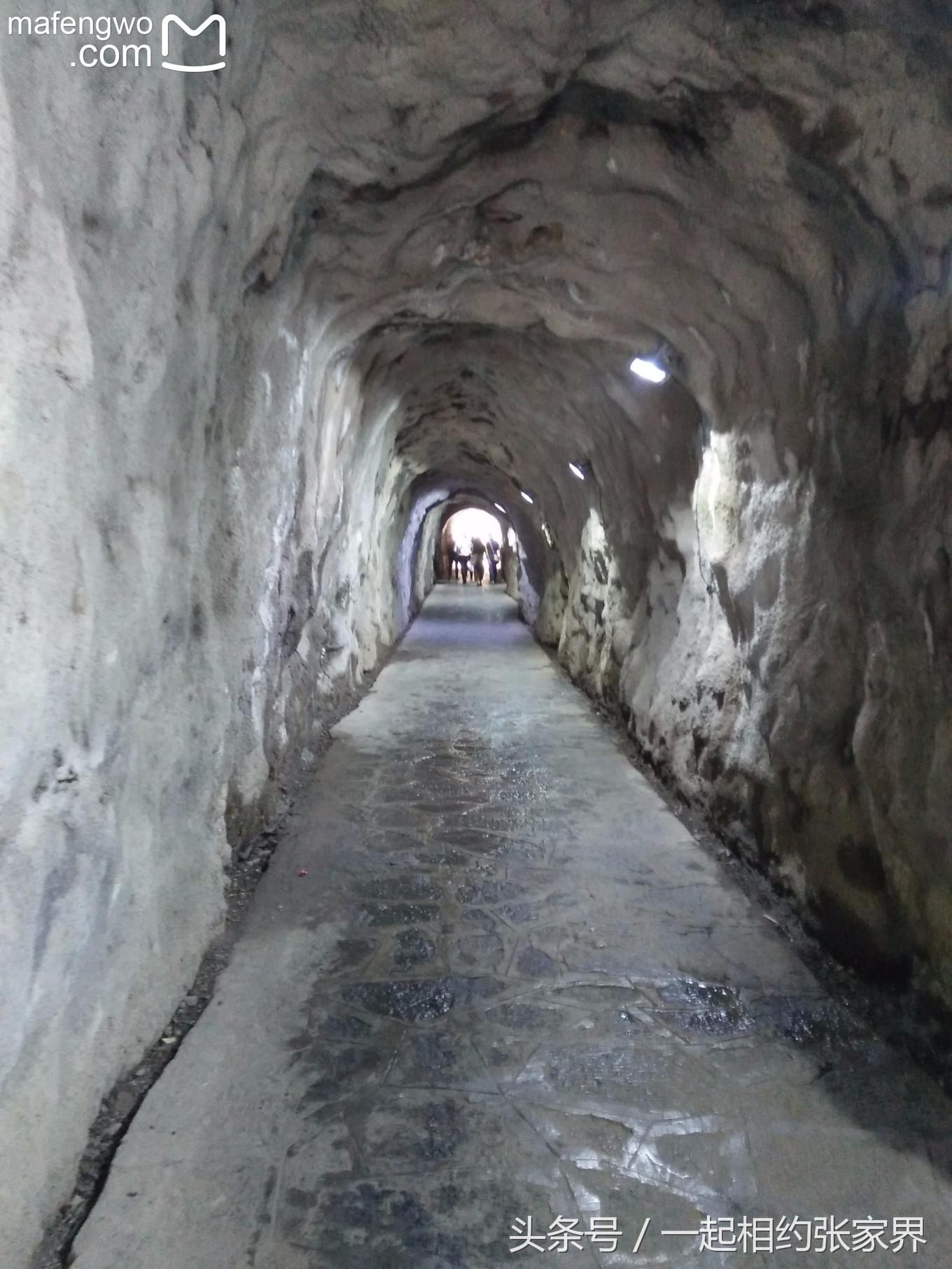 张家界机场到天门山自由行攻略,张家界天门山一日游攻略省钱