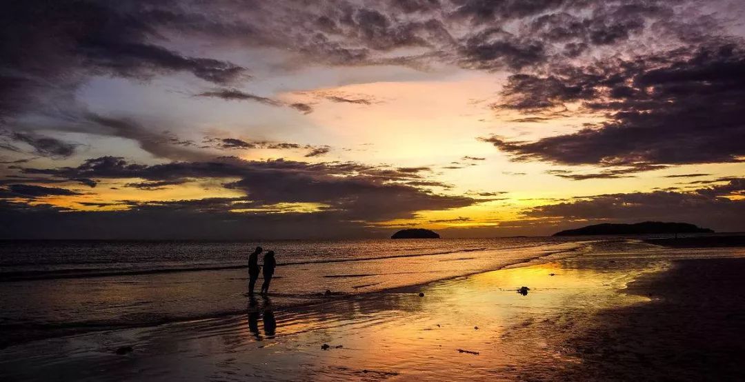 婆罗洲最神奇的探秘之旅,婆罗洲雨林探险