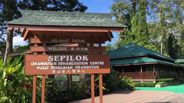 婆罗洲最神奇的探秘之旅,婆罗洲雨林探险