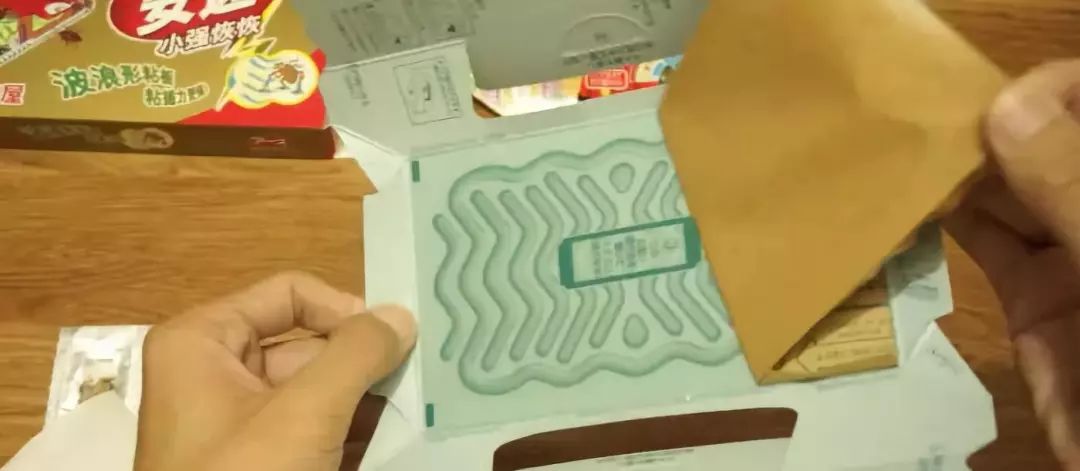 我竟然给蟑螂买了一套房子并请它喝了一罐哈尔滨？