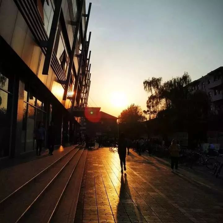 520绿幕素材我对你不仅仅是喜欢,520不仅仅代表爱情