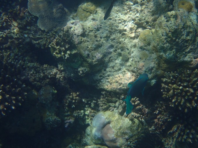 马代有毒，去过就停不下来~马尔代夫奥臻岛ozen