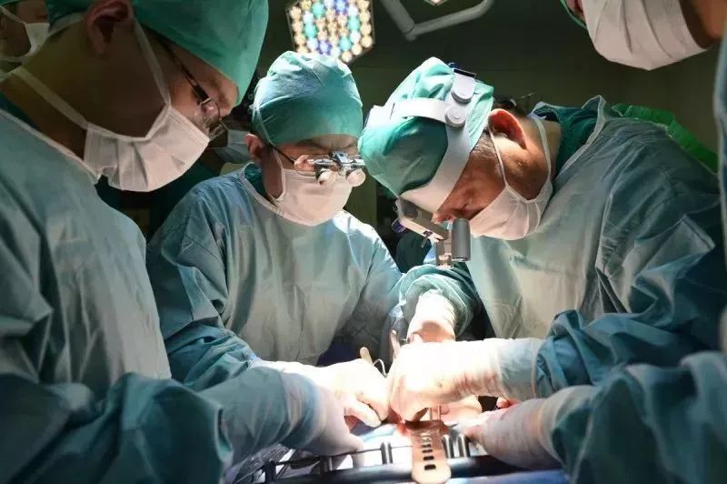 3d打印的肾移植案例,肾移植手术3d