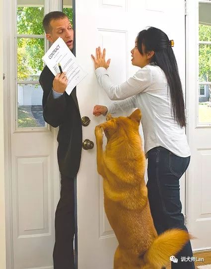 有人进门的时候，狗狗总是发出吠叫怎么办？