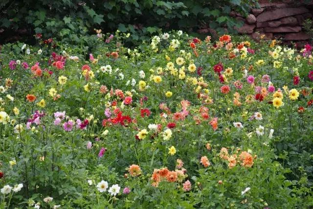 金堂鲜花山谷风景区门票多少钱,鲜花山谷金堂