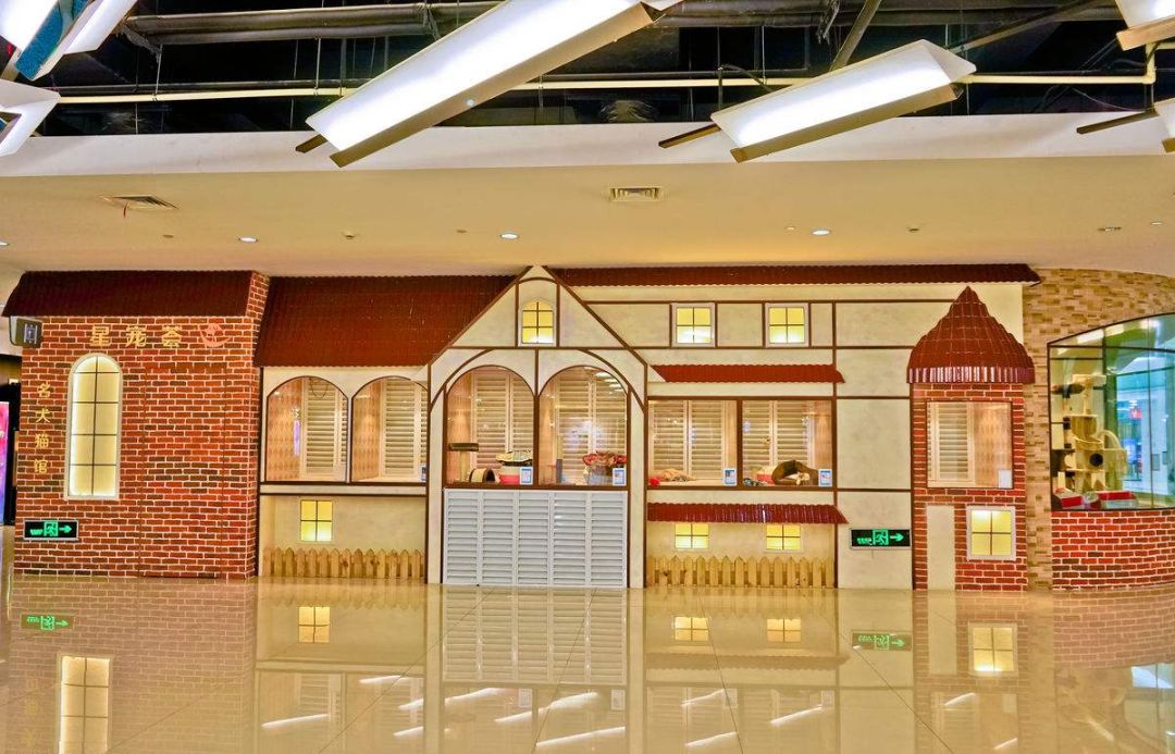 开宠物店怎么装修,年赚百万的宠物店