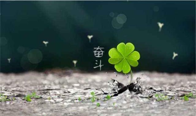 应届毕业有哪些出路,应届生毕业如何创业