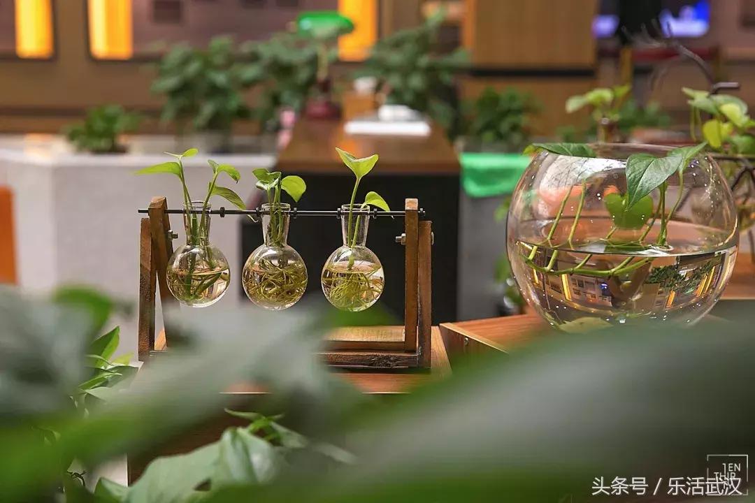 武汉学风好的大学,武汉高校外号