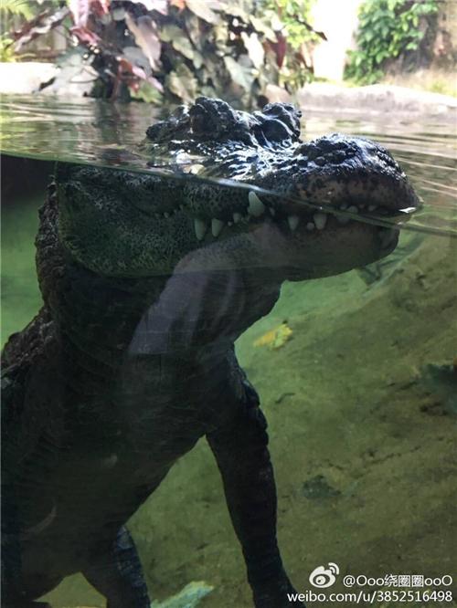 冷烫和热烫的区别解说,冷烫专业知识