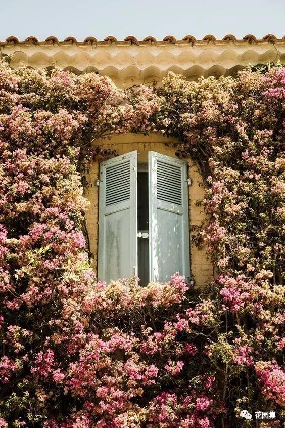 抑郁症疗愈花园,抑郁情绪疗愈法