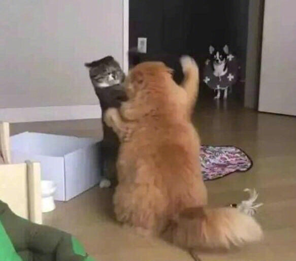 儿童报警求助知识,民警教孩子如何正确报警